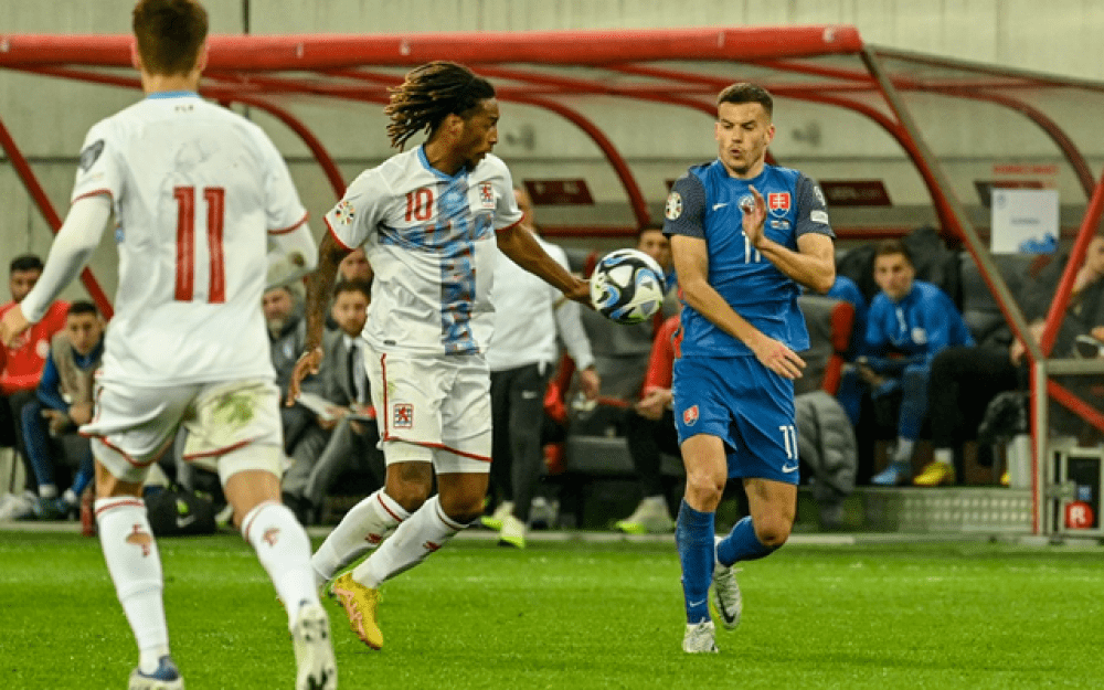 波黑在欧预赛赛场上展现出色运动实力