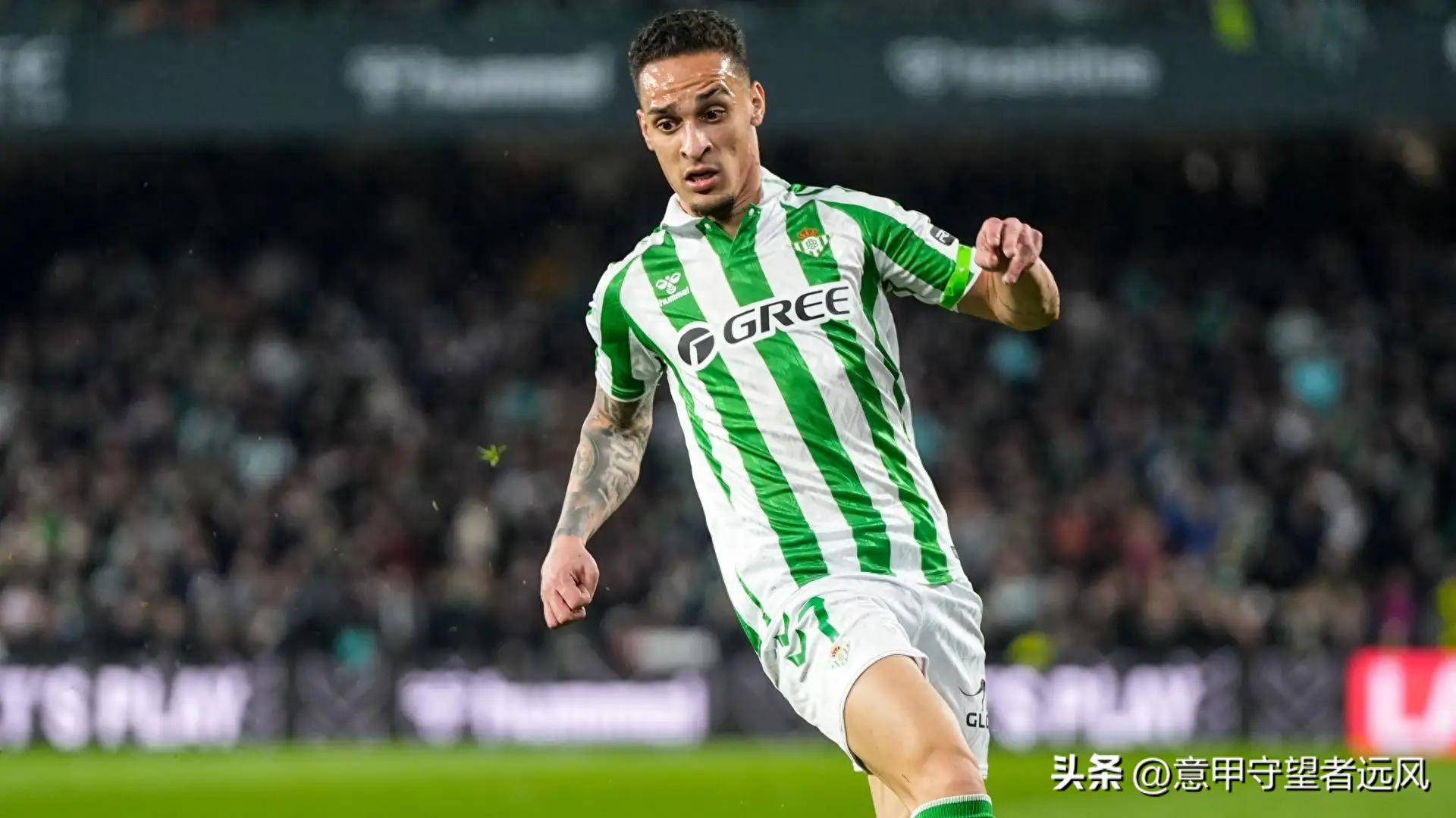 佛罗伦萨主帅寄望于下轮比赛，重回胜利轨道的简单介绍