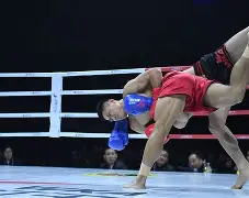 符腾汉姆小胜对手，针锋相对短兵相接