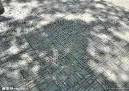 地面普罗旺斯踢球者全队险胜，实力超群毫无悬念的简单介绍