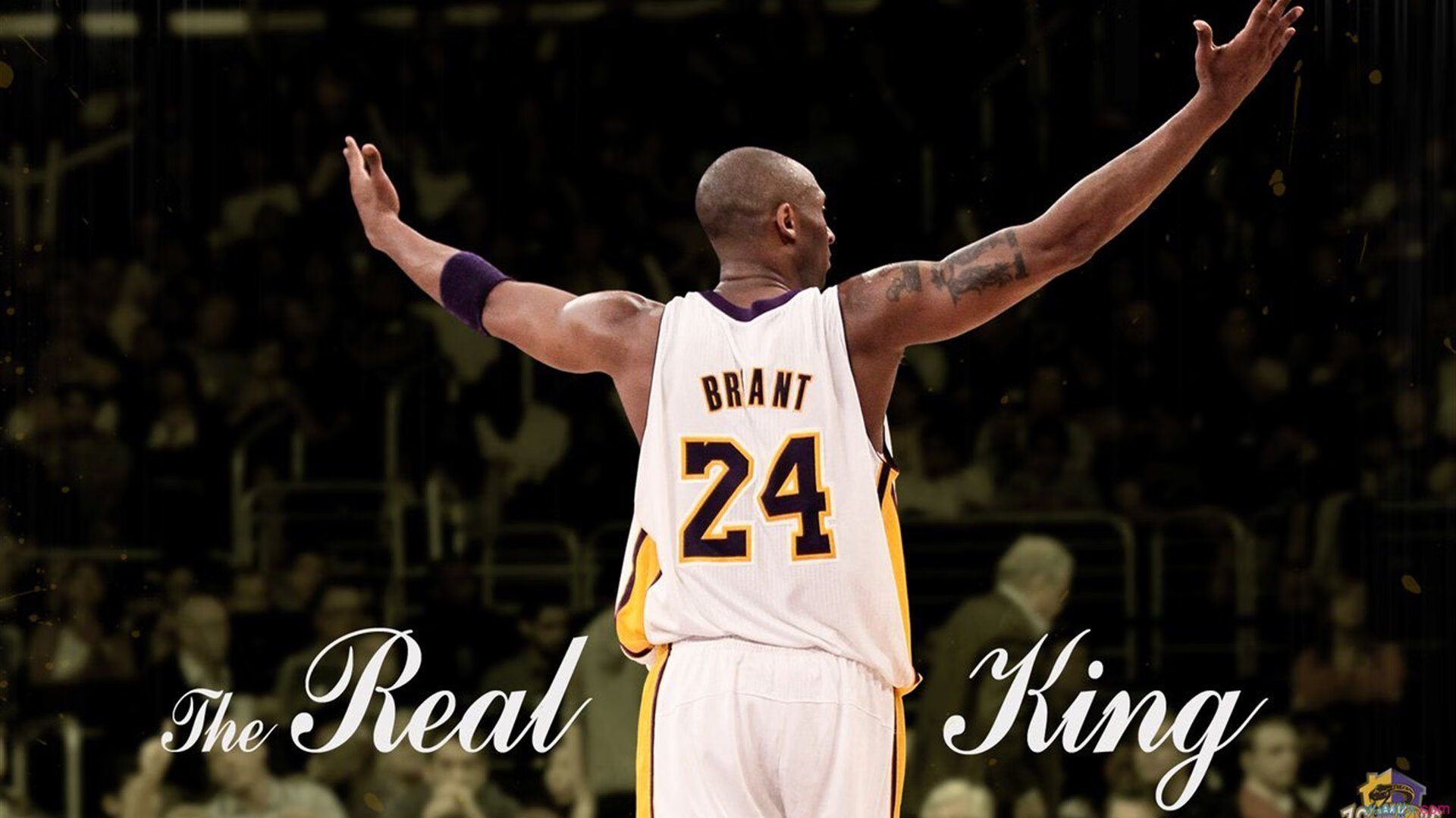 暴力美学！戈贝尔统治油漆区 芝加哥公牛屠城式击溃浙江队