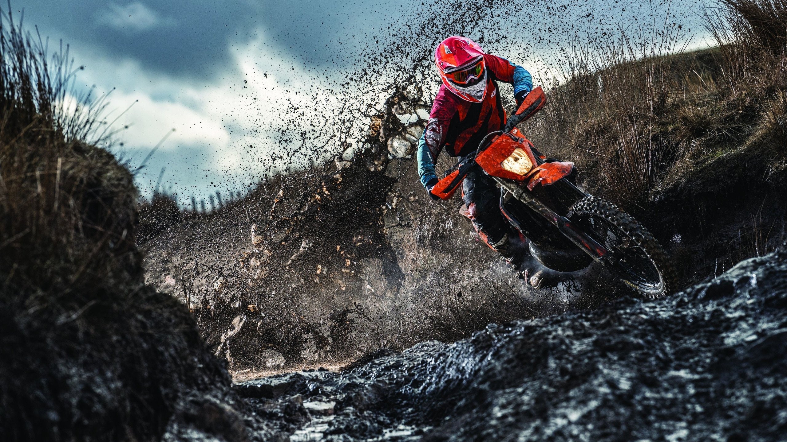 波兰队横扫瑞典队，梁靖崑成关键英雄，欧洲乒坛新秩序显现？