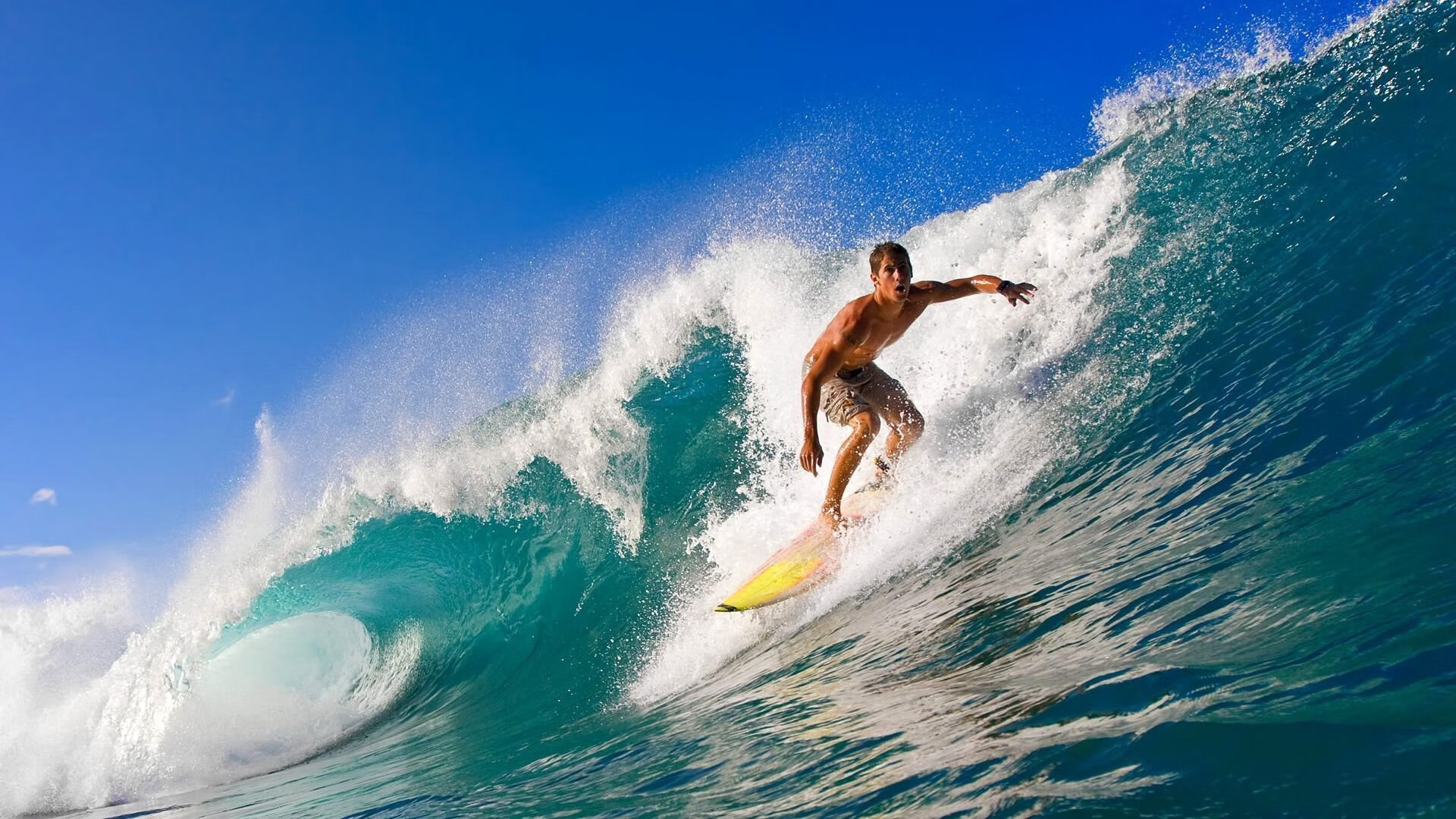 逆转公式，一个与约基奇有关的解